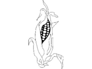 Sticker Custom Preview Image #065202 Food Drink Veggies Corn10