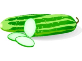 Sticker Custom Preview Image #065250 Food Drink Veggies Cucumbers4