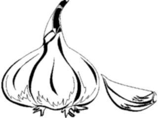 Sticker Custom Preview Image #065269 Food Drink Veggies Garlic02