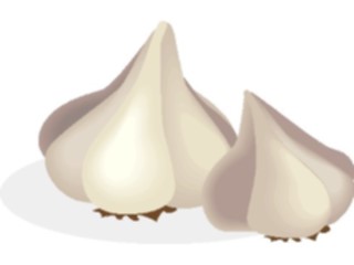 Sticker Custom Preview Image #065275 Food Drink Veggies Garlic08