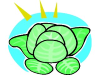 Sticker Custom Preview Image #065293 Food Drink Veggies Lettuce5