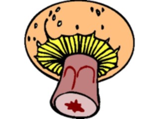 Sticker Custom Preview Image #065306 Food Drink Veggies Mushroom10