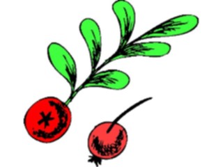 Sticker Custom Preview Image #065476 Food Drink Veggies Radishes5