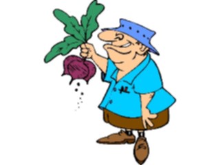 Sticker Custom Preview Image #066384 Gardening Man Pulling Turnips