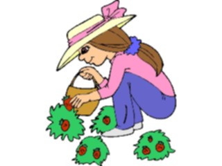 Sticker Custom Preview Image #066438 Gardening Picking Strawberries