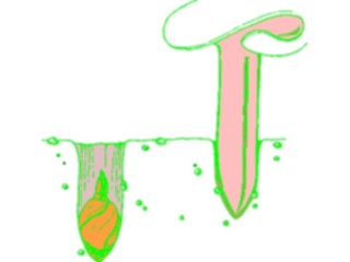 Sticker Custom Preview Image #066459 Gardening Planting Seeds5