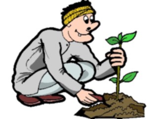 Sticker Custom Preview Image #066462 Gardening Planting Tree3