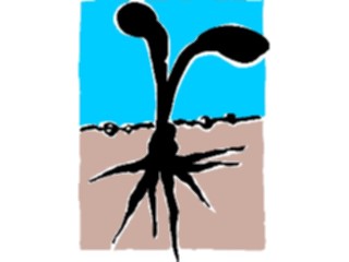 Sticker Custom Preview Image #066500 Gardening Roots Sprout
