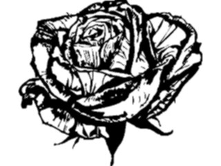 Sticker Custom Preview Image #066501 Gardening Rose
