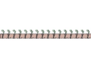 Sticker Custom Preview Image #066514 Gardening Seedlings Border