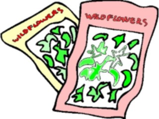 Sticker Custom Preview Image #066515 Gardening Seeds Wildflowers