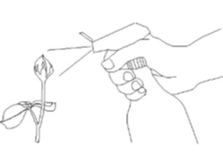 Sticker Custom Preview Image #066541 Gardening Spraying Plants