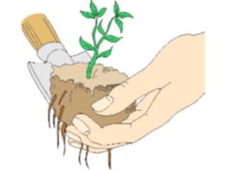 Sticker Custom Preview Image #066568 Gardening Transplant2