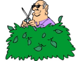 Sticker Custom Preview Image #066576 Gardening Trimming Hedges1