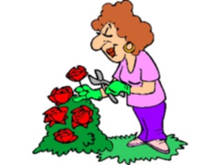 Sticker Custom Preview Image #066578 Gardening Trimming Roses