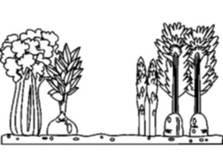 Sticker Custom Preview Image #066598 Gardening Vegetable Garden