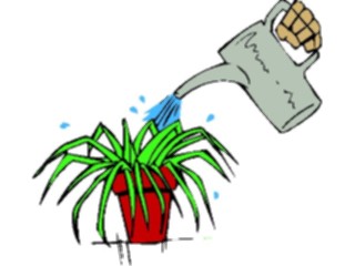 Sticker Custom Preview Image #066603 Gardening Wateringa Plant