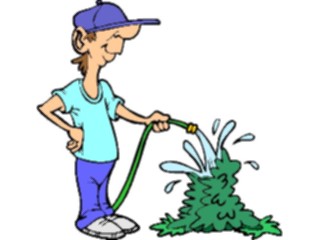 Sticker Custom Preview Image #066604 Gardening Watering Bush