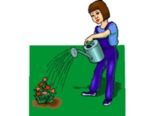 Sticker Custom Preview Image #066644 Gardening Watering Flowers5