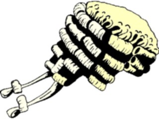 Sticker Custom Preview Image #066874 Government Judicial Branch Judicial Wig