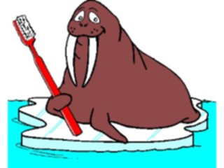 Sticker Custom Preview Image #068034 Health Medical Cartoons Dental Walrus