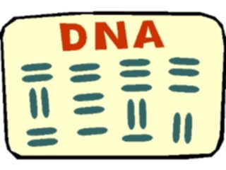 Sticker Custom Preview Image #068056 Health Medical Cartoons D N A Report