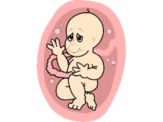 Sticker Custom Preview Image #068152 Health Medical Cartoons Fetus