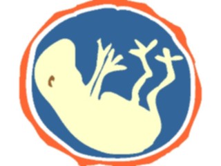 Sticker Custom Preview Image #068153 Health Medical Cartoons Fetus Offbeat