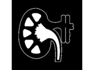 Sticker Custom Preview Image #069332 Health Medical Signs Symbols Nephrology