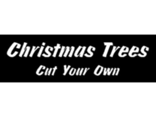 Sticker Custom Preview Image #069612 Holidays Advertising Christmas Trees Cut Your Own