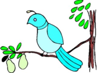 Sticker Custom Preview Image #070352 Holidays Christmas General Partridgein Pear Tree4
