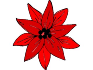 Sticker Custom Preview Image #070360 Holidays Christmas General Poinsettia3