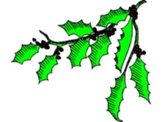 Sticker Custom Preview Image #070844 Holidays Christmas Holly Mistletoe Holly66