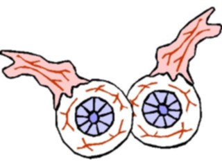 Sticker Custom Preview Image #073267 Holidays Halloween Eyeballs1