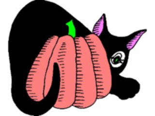Sticker Custom Preview Image #073879 Holidays Halloween Pumpkin Cat5