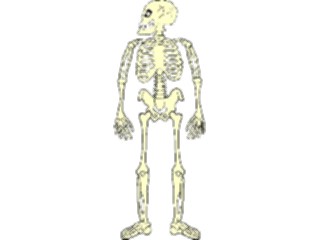 Sticker Custom Preview Image #073969 Holidays Halloween Skeleton19