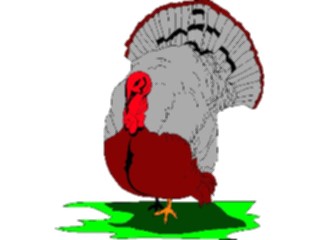 Sticker Custom Preview Image #075361 Holidays Thanksgiving Turkey05