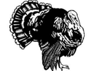 Sticker Custom Preview Image #075363 Holidays Thanksgiving Turkey07