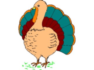 Sticker Custom Preview Image #075368 Holidays Thanksgiving Turkey12