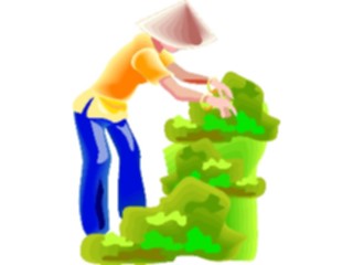 Sticker Custom Preview Image #081072 International People Images Vietnamese Farmer