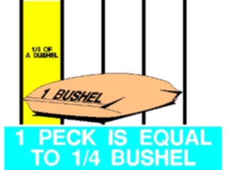 Sticker Custom Preview Image #087956 Measurement Systems Peck