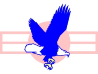 Sticker Custom Preview Image #089096 Military General Eagle Symbol
