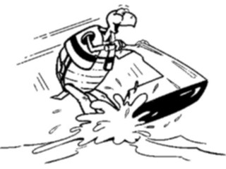Sticker Custom Preview Image #095313 Outdoor Recreation Beach Water Jet Skiing Turtle