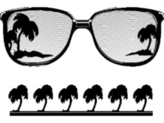 Sticker Custom Preview Image #095673 Outdoor Recreation Beach Water Sunglasses Palm Trees