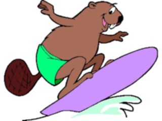 Sticker Custom Preview Image #095725 Outdoor Recreation Beach Water Surfer Beaver