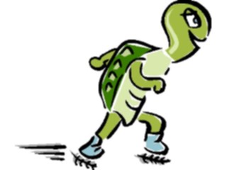 Sticker Custom Preview Image #097503 Outdoor Recreation Skating In Line Skating Turtle