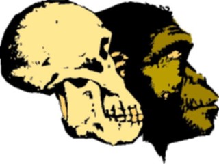 Sticker Custom Preview Image #101178 People General Evolution9