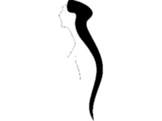 Sticker Custom Preview Image #102521 People Silhouettes Long Hair