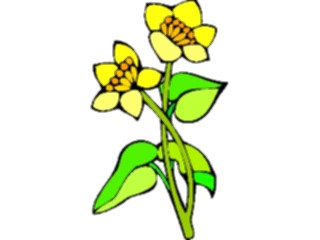 Sticker Custom Preview Image #103097 Plants Flowers Flowers Buttercup1