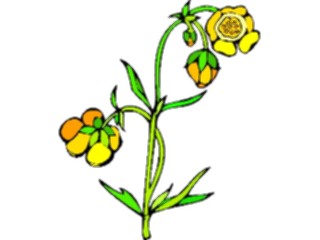 Sticker Custom Preview Image #103098 Plants Flowers Flowers Buttercup2